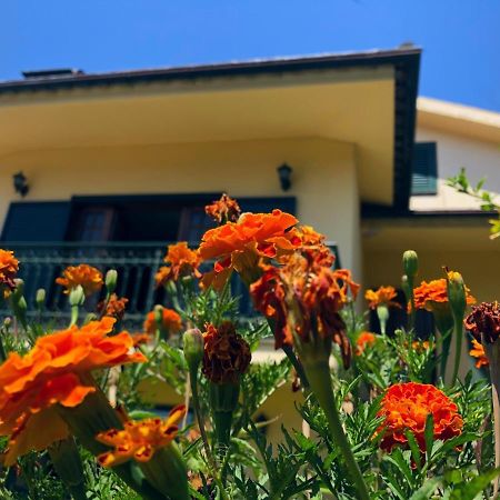 Casa Sao Simao Villa บาร์เซลอส ภายนอก รูปภาพ