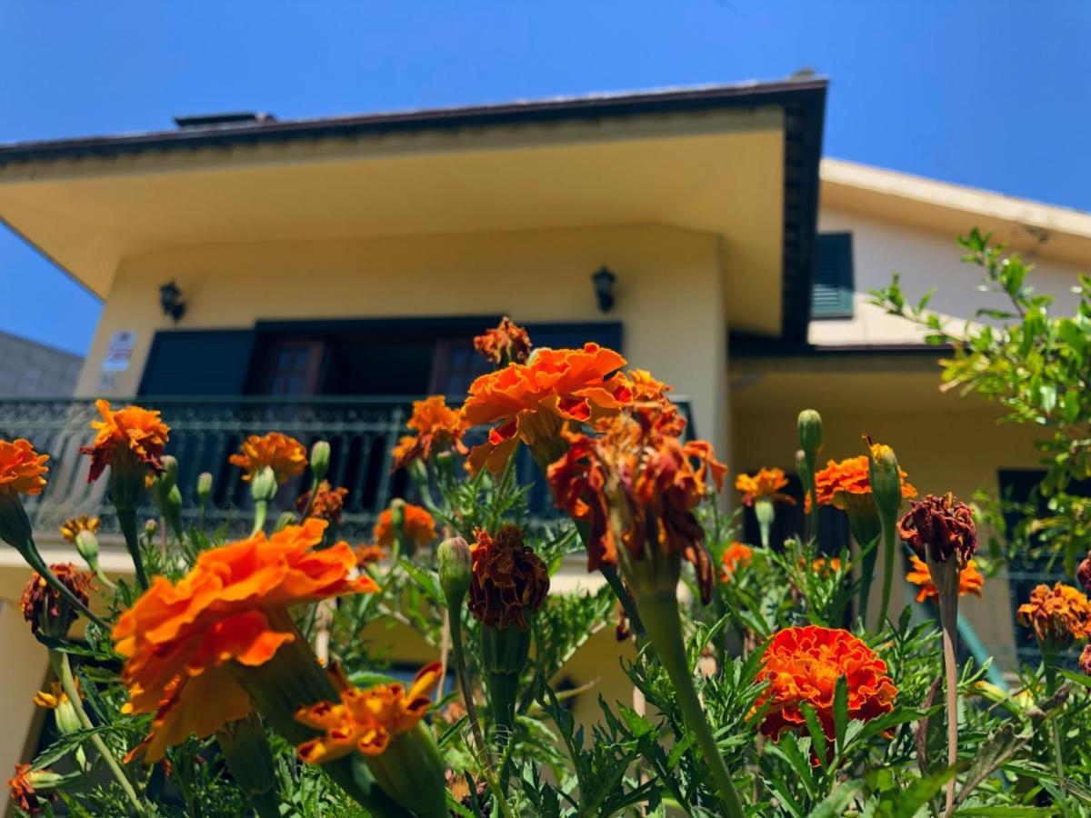 Casa Sao Simao Villa บาร์เซลอส ภายนอก รูปภาพ